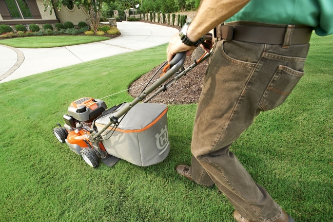 Lawn Mowers For Small Gardens