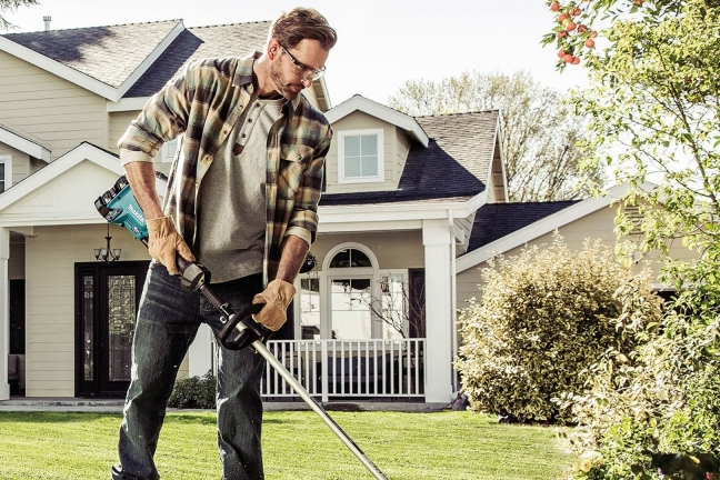 Garden Ideas on a Budget