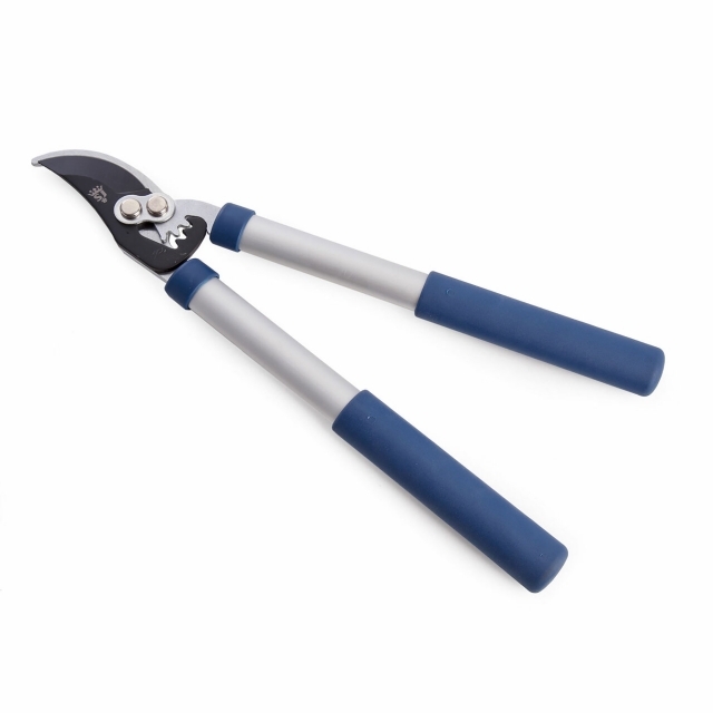 Essential gardening tools: Lopper