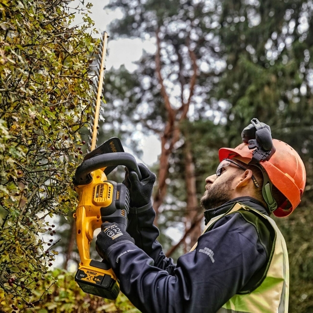 Essential gardening tools: Hedge trimmers