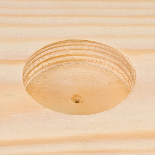 TREND - Snappy TREND Snappy - SNAP/FS/12 12mm x 80mm Forstner Bit